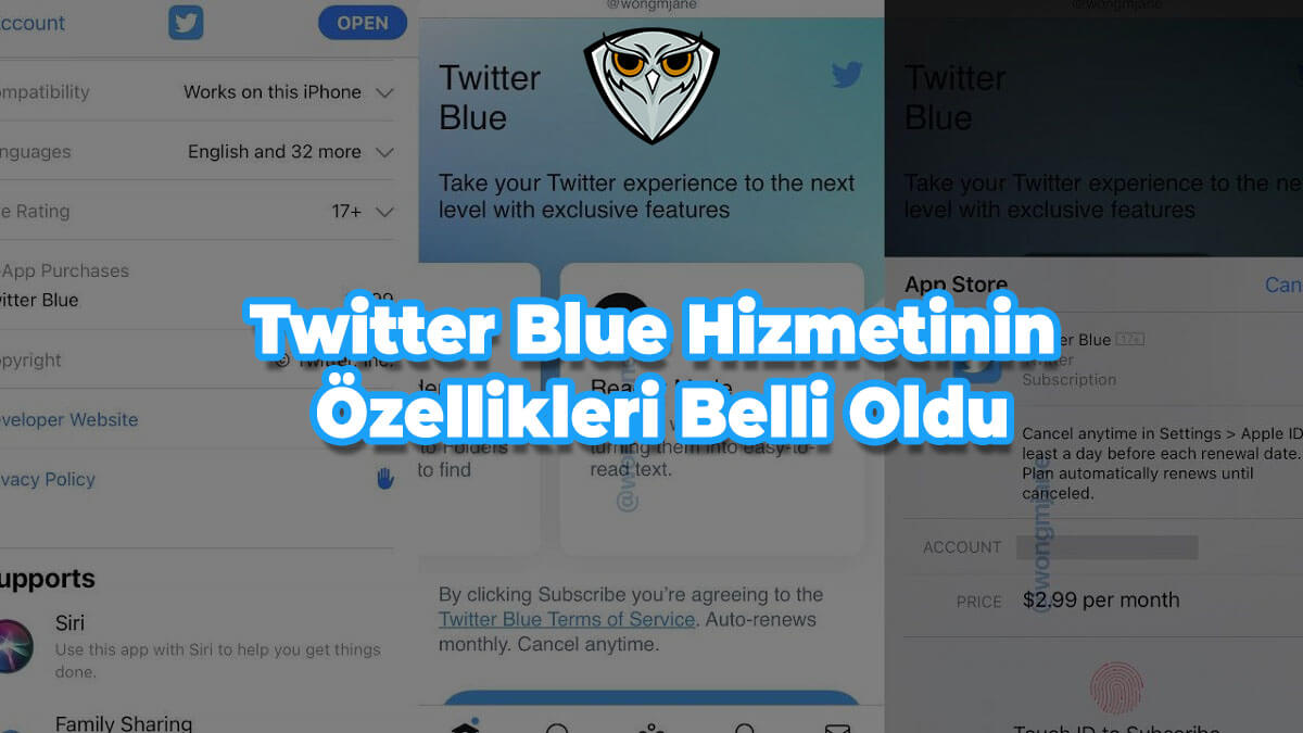 Twitter Blue