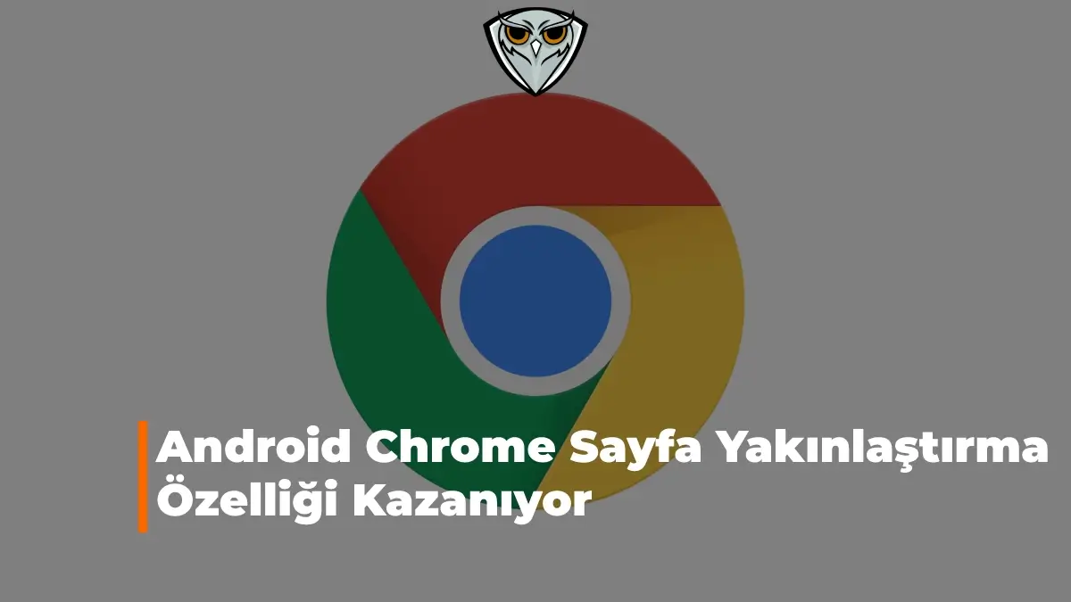 Google Chrome Sayfa Yakınlaştırma Özelliği